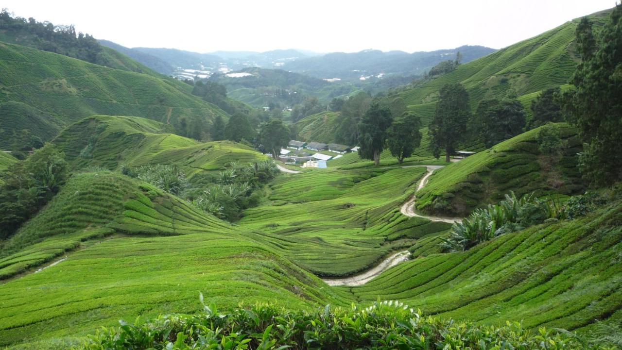 The Quintet Cameron Highlands By Tulip Тана Рата Екстериор снимка